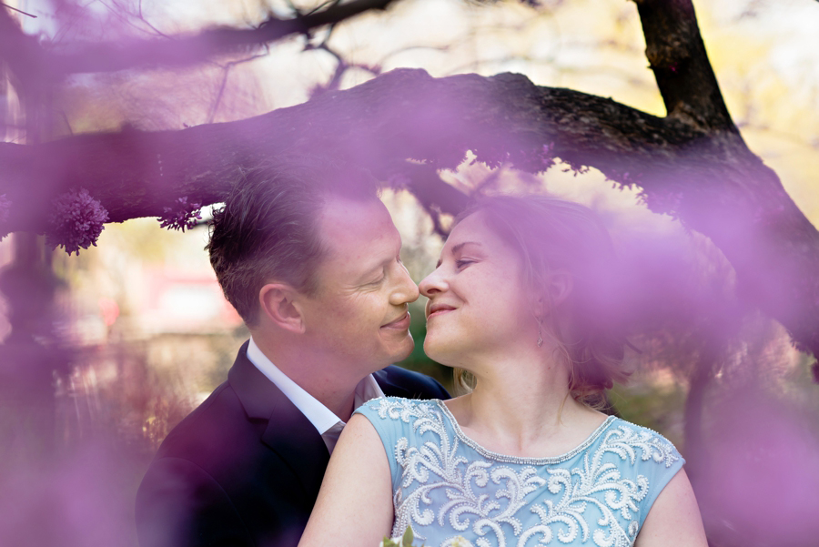A wedding couple kiss under the purple flowers of the trees in Washington Square Park in Philadelphia.